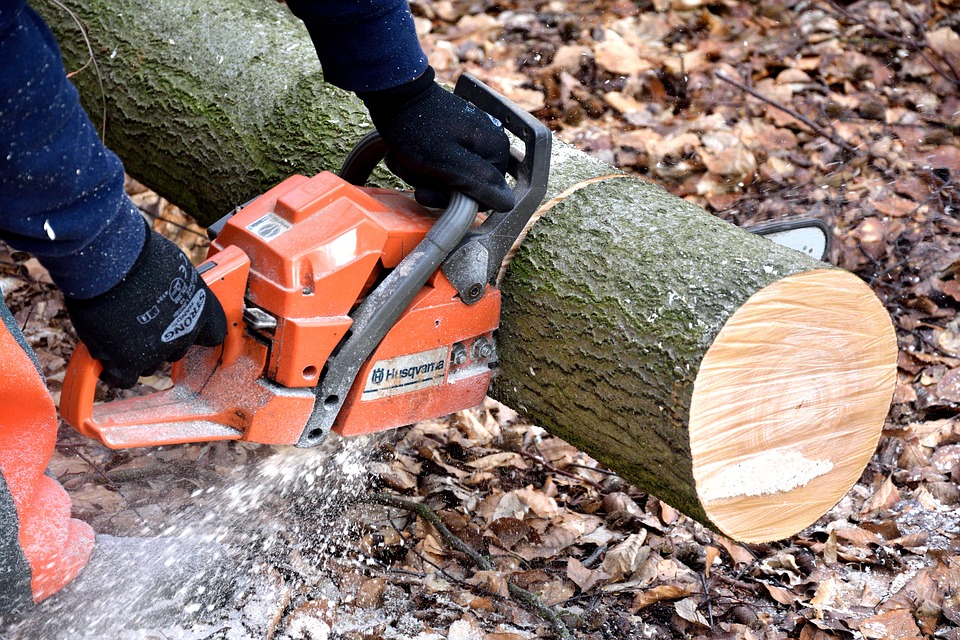 guy cutting a big tree trunk with a chainsaw